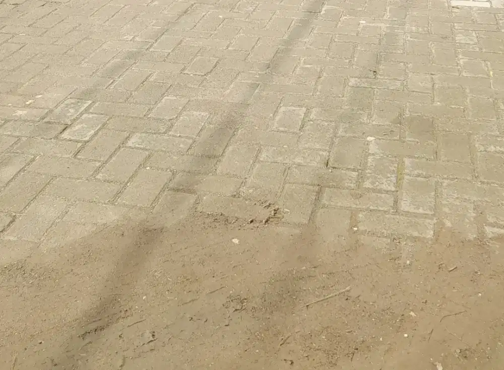 CARI KERJA APA SAJAH