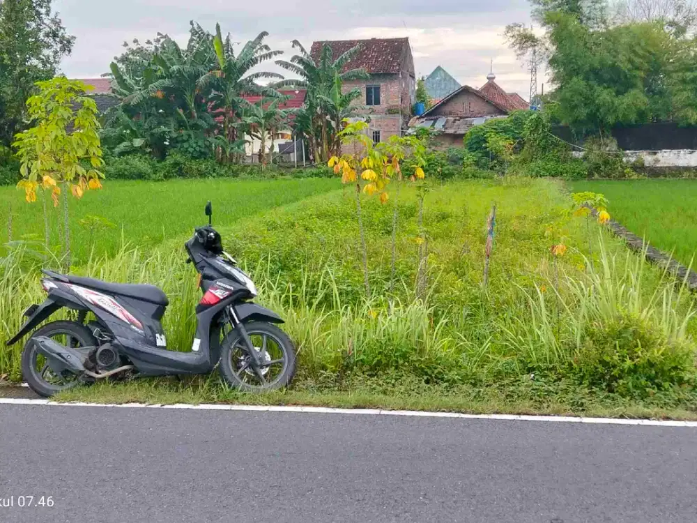 Di Jual Cepat Tanah Sawah Murah Di Dekat Jln Sidoarum