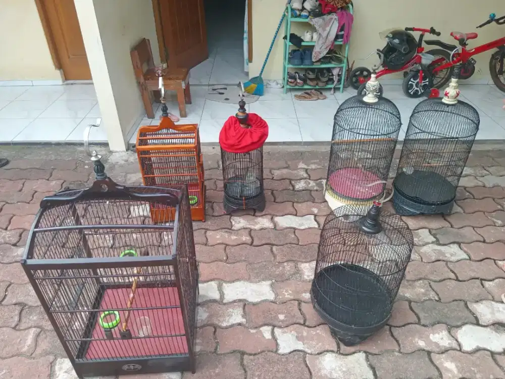 Kandang burung bekas borongan/ satuan