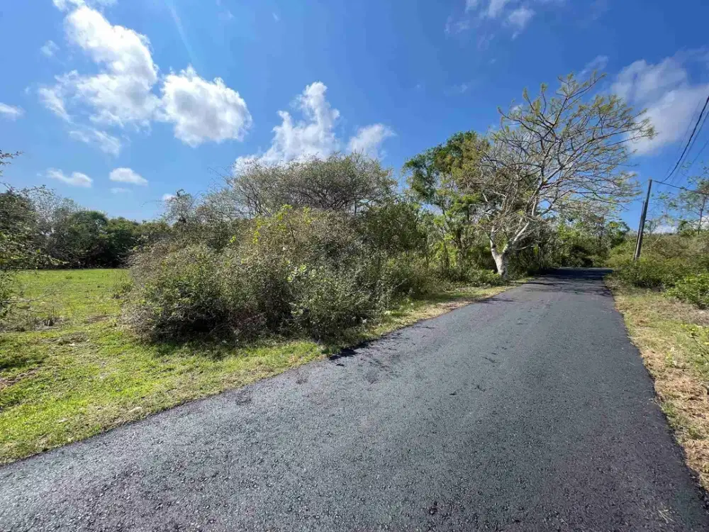 DI JUAL TANAH MURAH DEKAT KAMPUS UNUD JIMBARAN