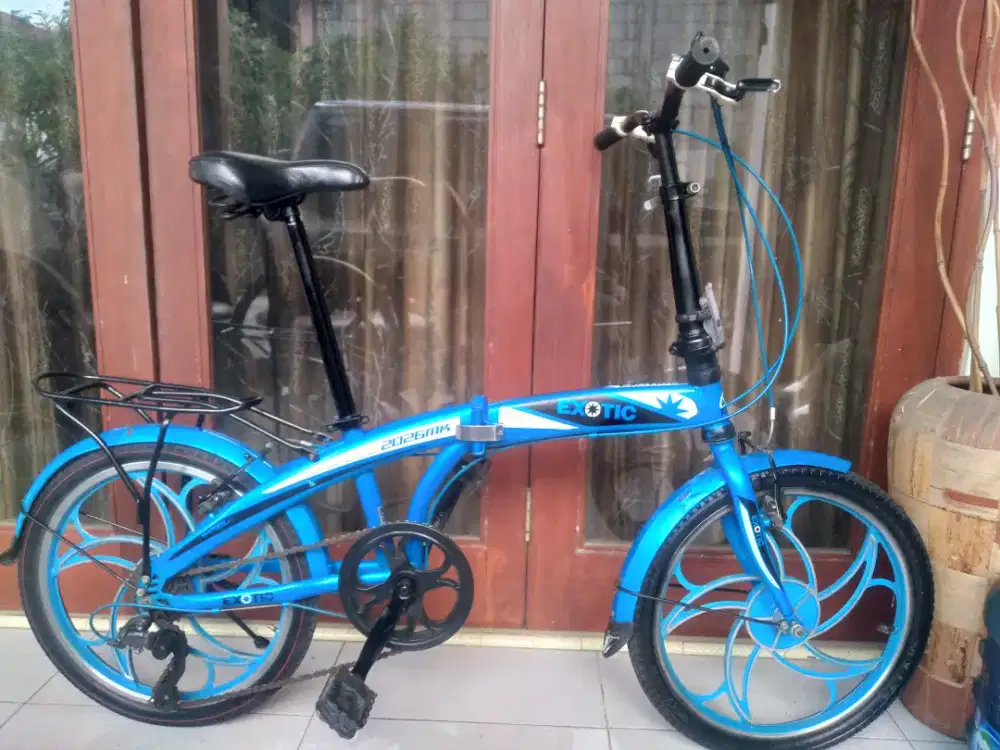 Seli exotix full bearing