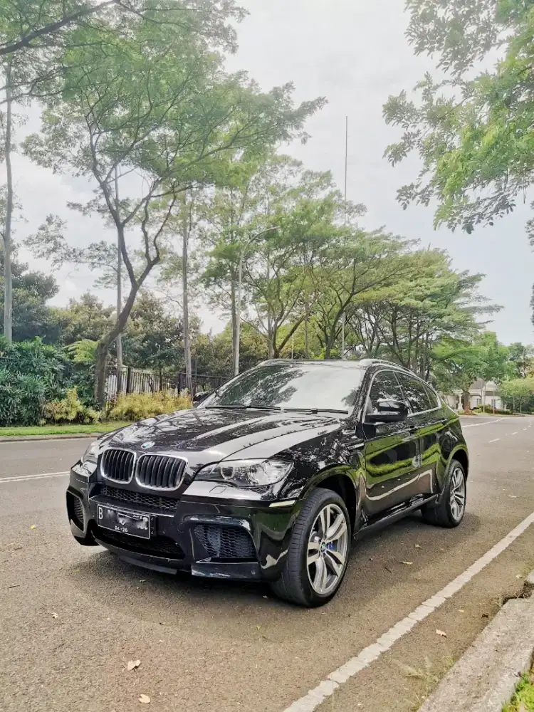 BMW X6M V8 Twin Turbo 2010 X6