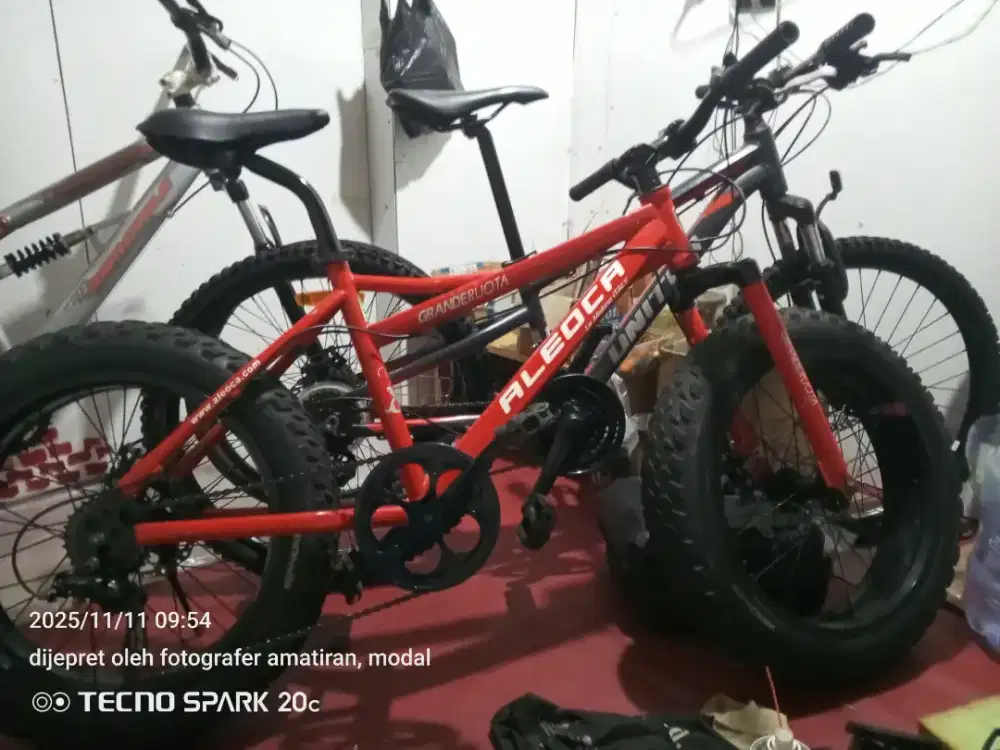 Aleoca 20 ban super jumbo(fat bike)