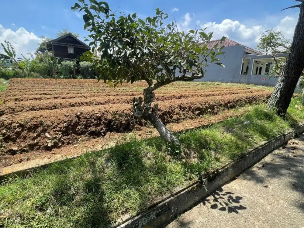 DILELANG Murah Tanah 500m2 SHM siap bangun di Graha Puspa Cihideung Parongpong