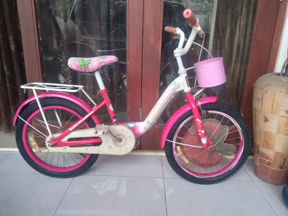 Wimcycle strawberry 18inchi