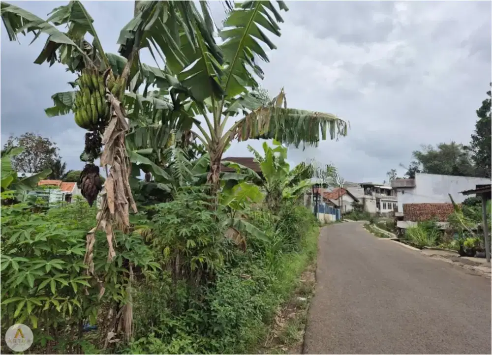 Dijual Tanah di Ngamprah Padalarang Dekat Pemda Bandung Barat.