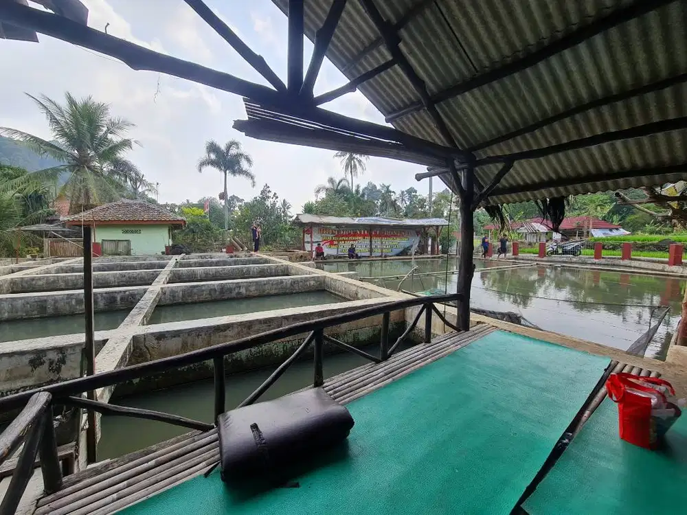 Tanah bekas tambak ikan nila lokasi strategis