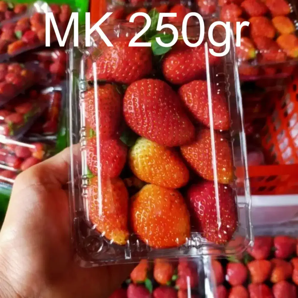 Strawberry Fresh Baru Segar Ready Setiap Hari
