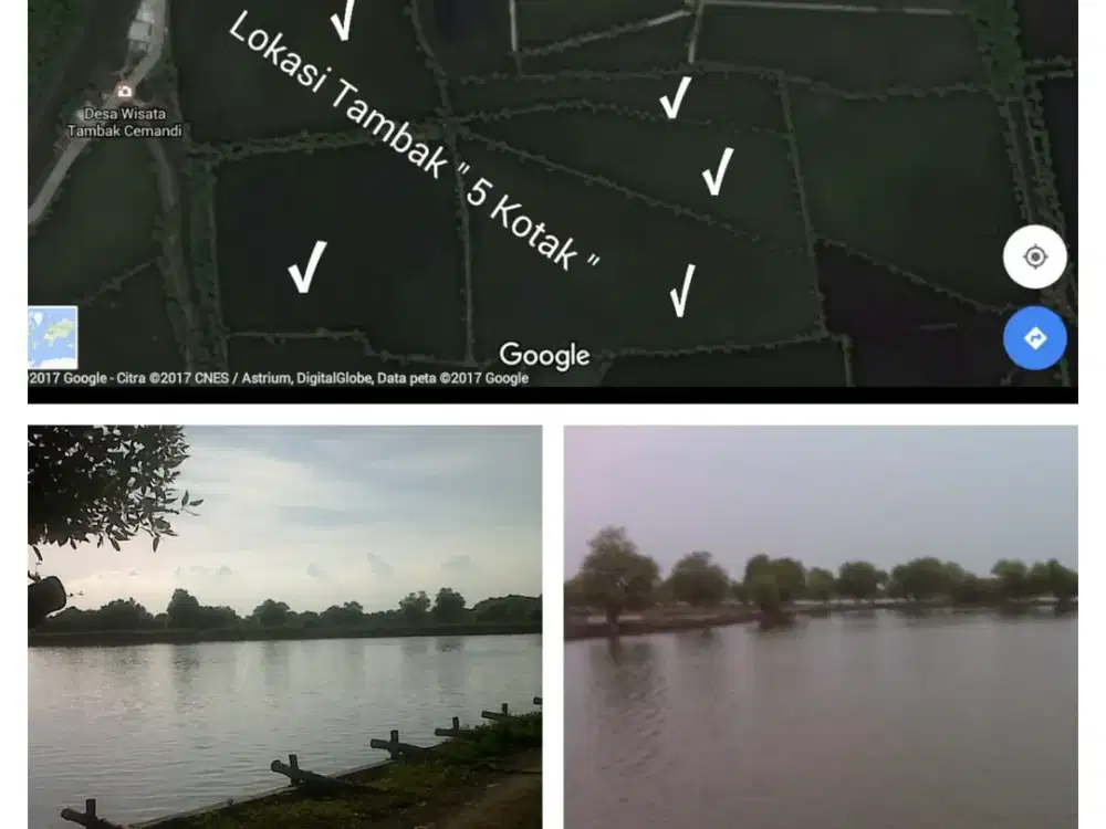 1468. Dijual Tanah Tambak Jl Kalanganyar Wetan Sedati Sidoarjo