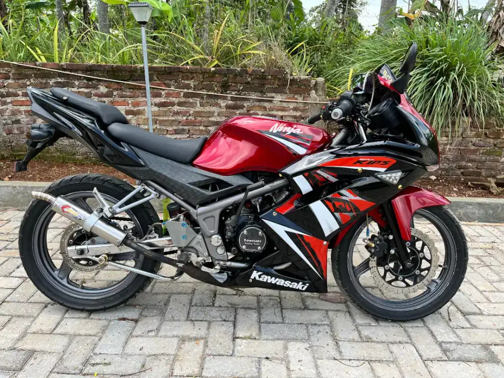 Kawasaki Ninja RR