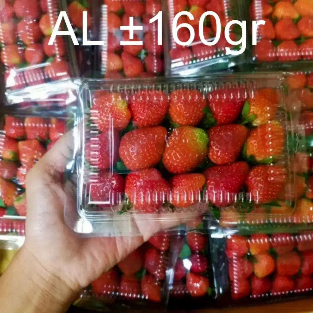 Strawberry / Stroberi Premium Fresh Segar Ready Stok