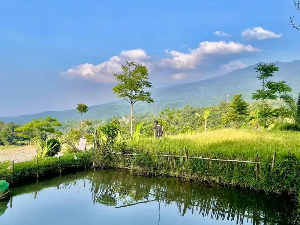 Dijual Tanah Ada Air Mengalir di Kampung Wisata Tajur Purwakarta