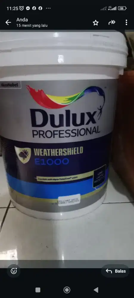 cat tembok masih new