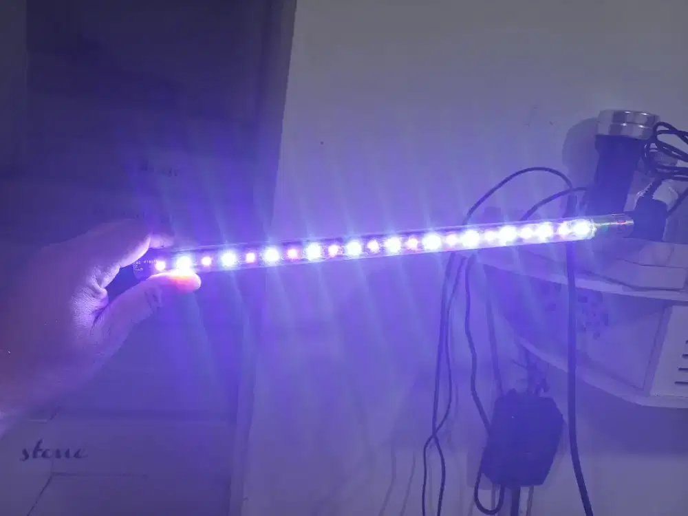 3 Lampu aquarium untuk ikan hias