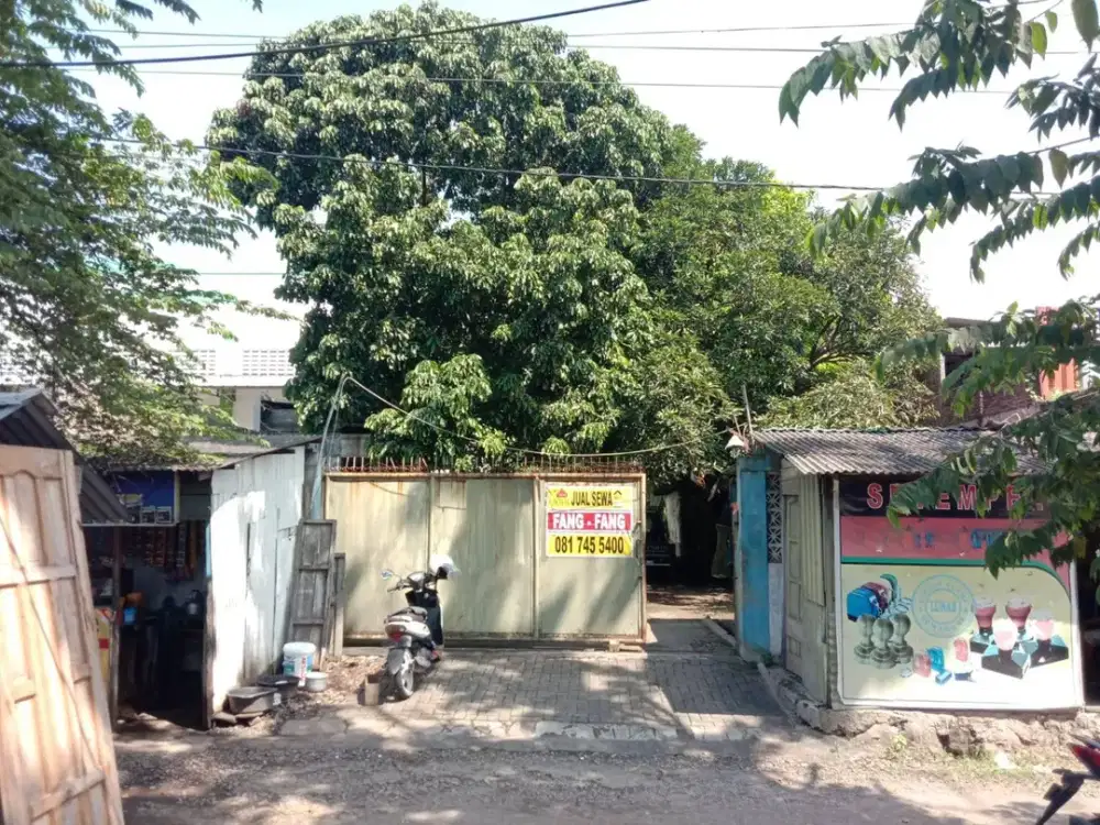 Dijual dan Disewakan Tanah Lokasi Jl. Majapahit Semarang