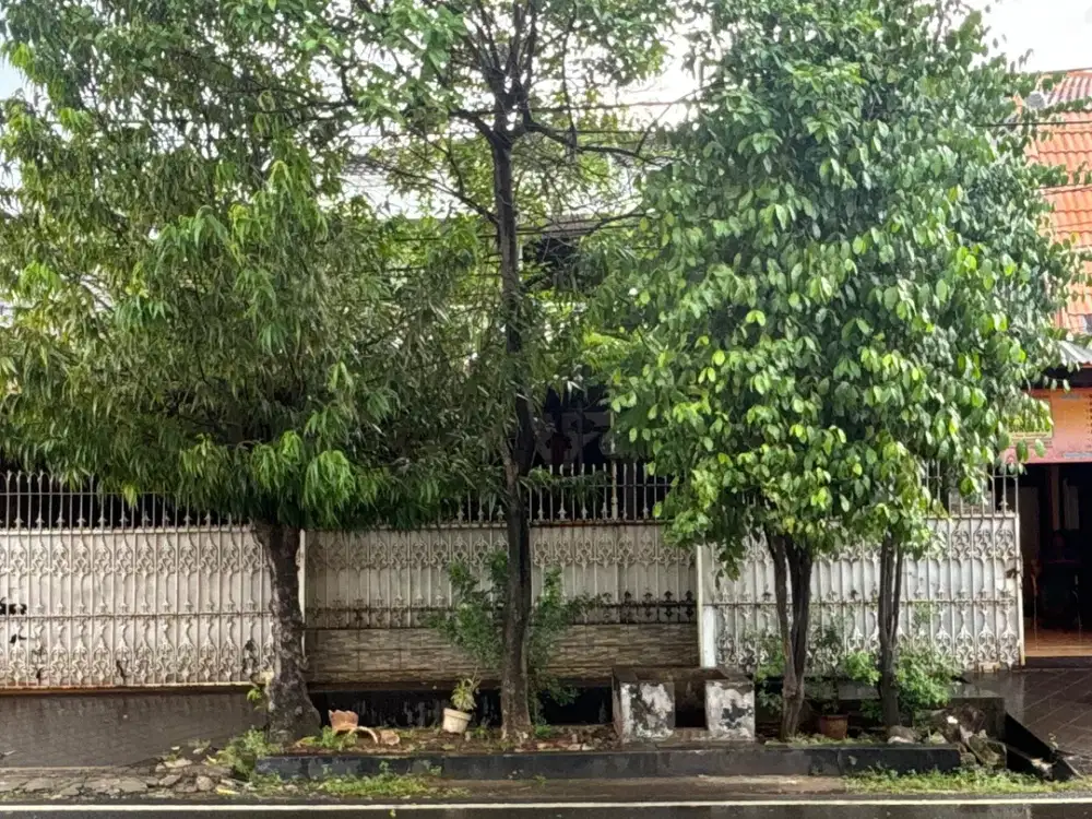 Rumah Akses Jalan Besar Di Area Kayu Putih Jakarta Timur
