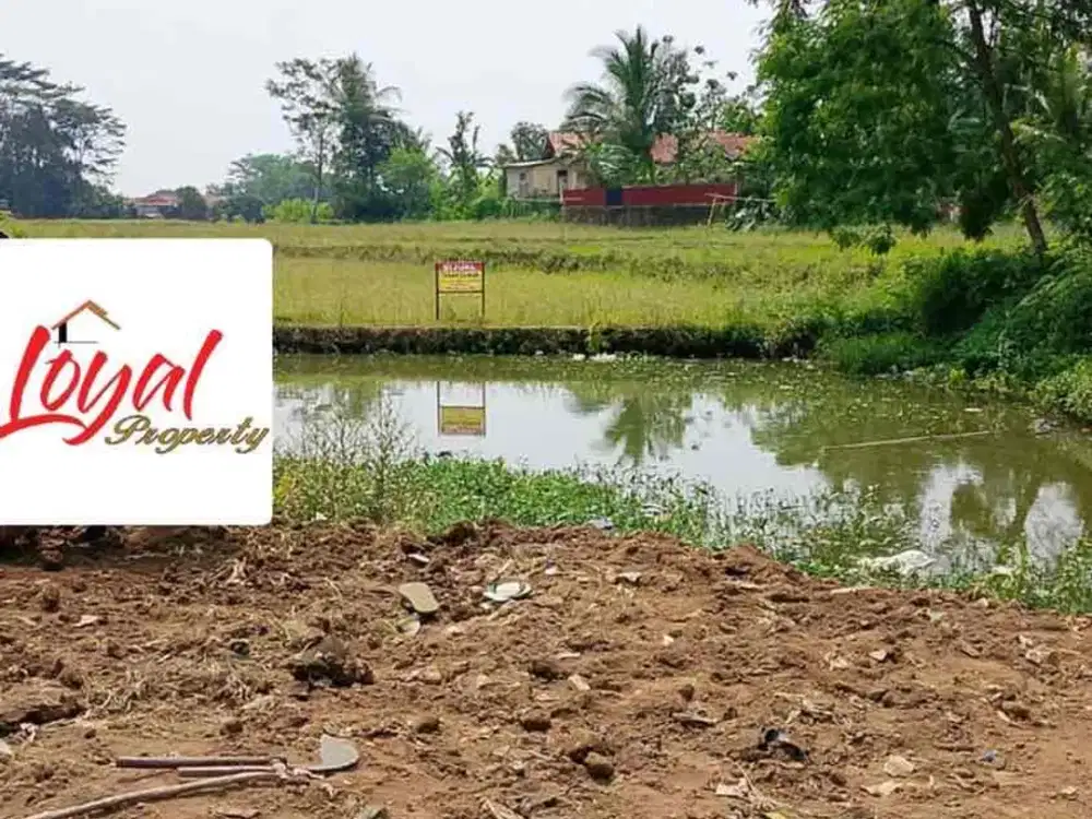Dijual cepat Tanah Sawah di Cianjur