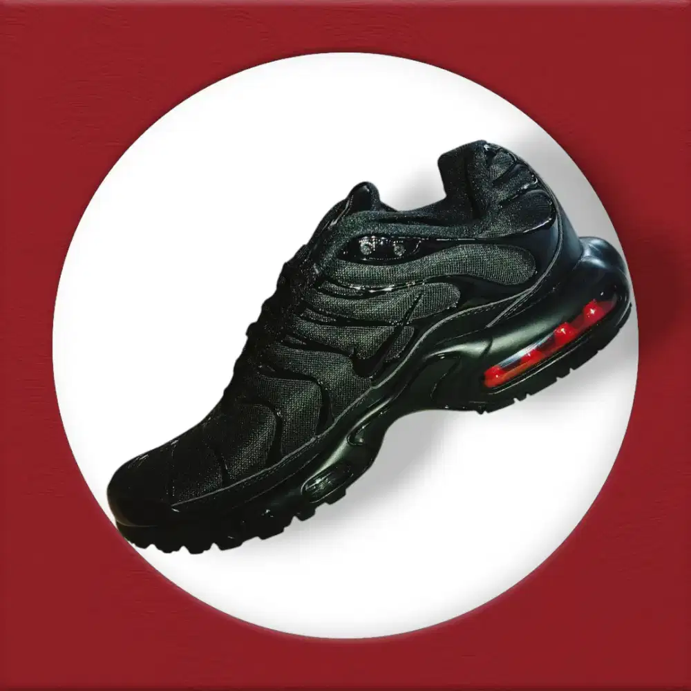 sepatu Nike TN edisi BNIB