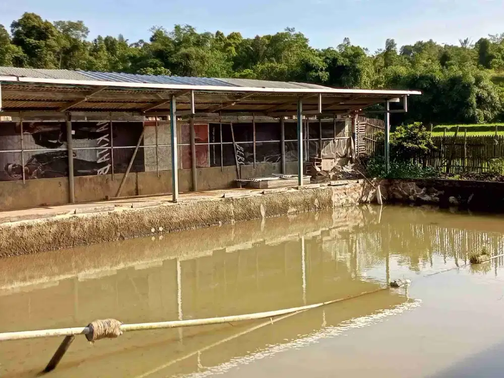 tanah berbentuk Balong ikan