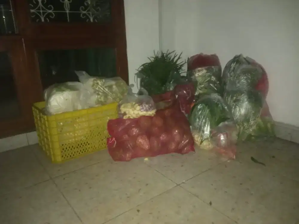 Loker dj bidang sayuran dan buah