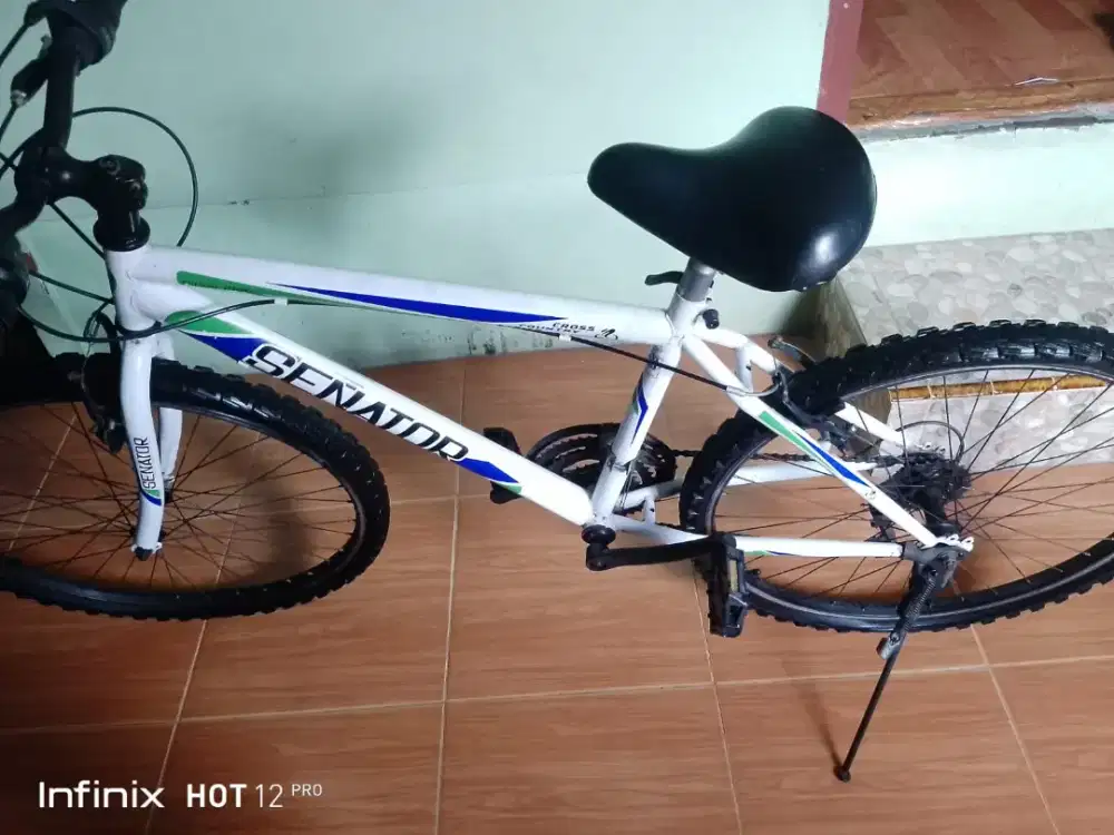 Sepeda senator ada giginya