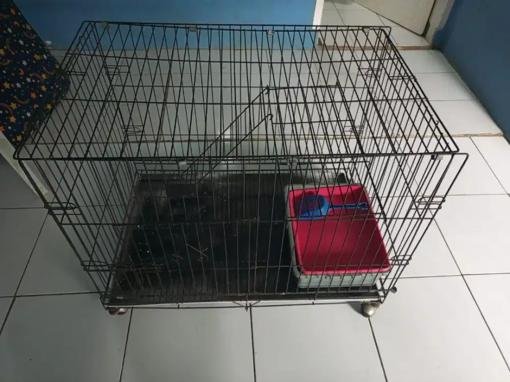 Dijual kandang kucing karena sudah tidak pelihara kucing