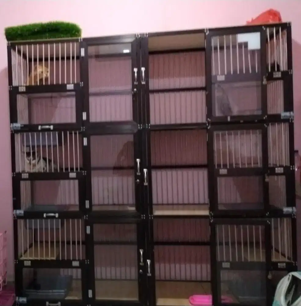 Kandang kucing second