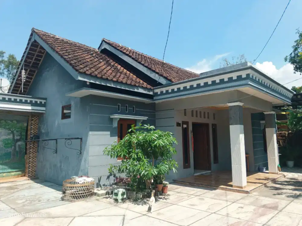 RUMAH KAMPUNG DI JUAL CEPAT !