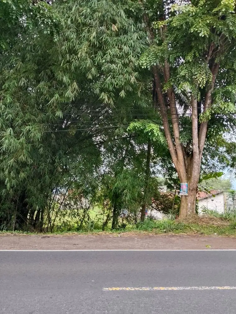 Jual tanah pinggir jalan negara