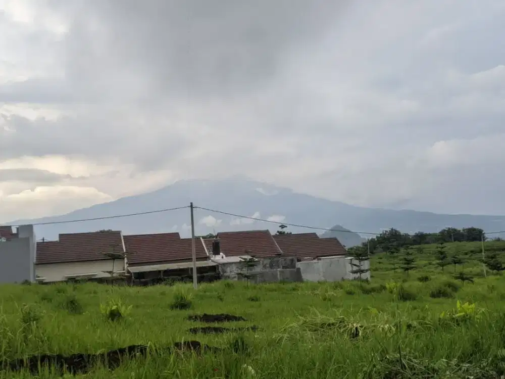 Tanah Investasi di Sumbersekar Dau, Potensi Nilai Naik Tinggi!