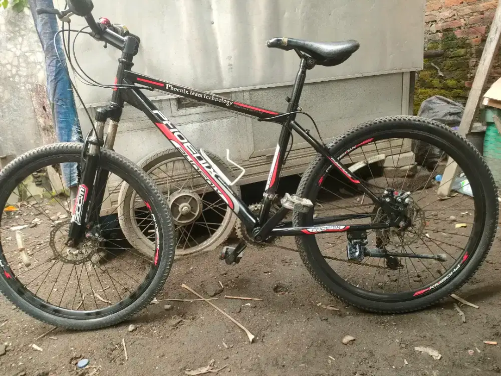 Sepeda gunung Phoenix