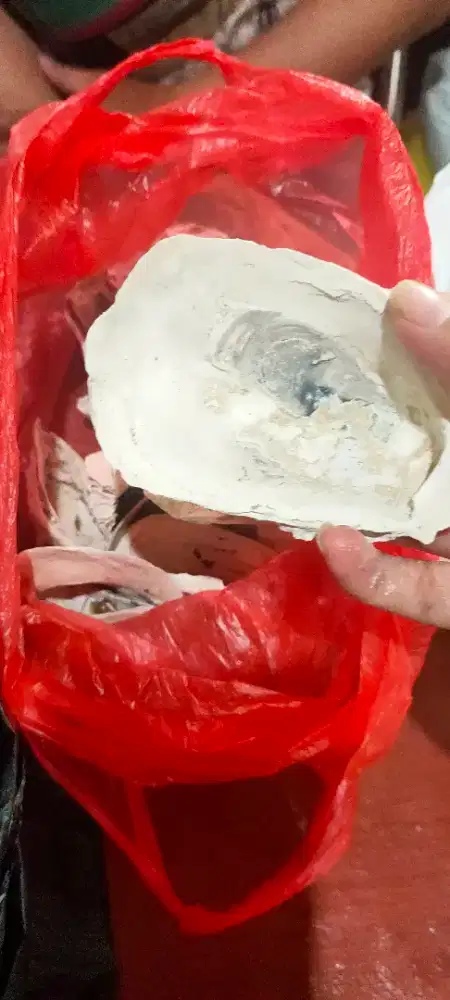 KERANG OYSTER MEDIA FILTER