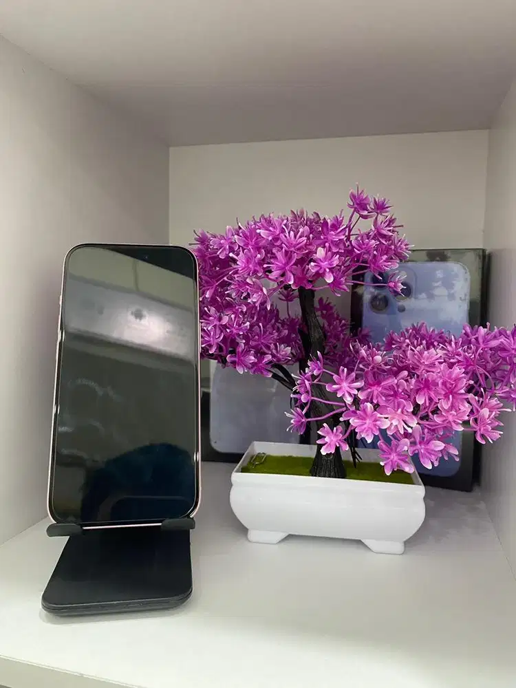 Iphone 15 128GB second resmi ibox