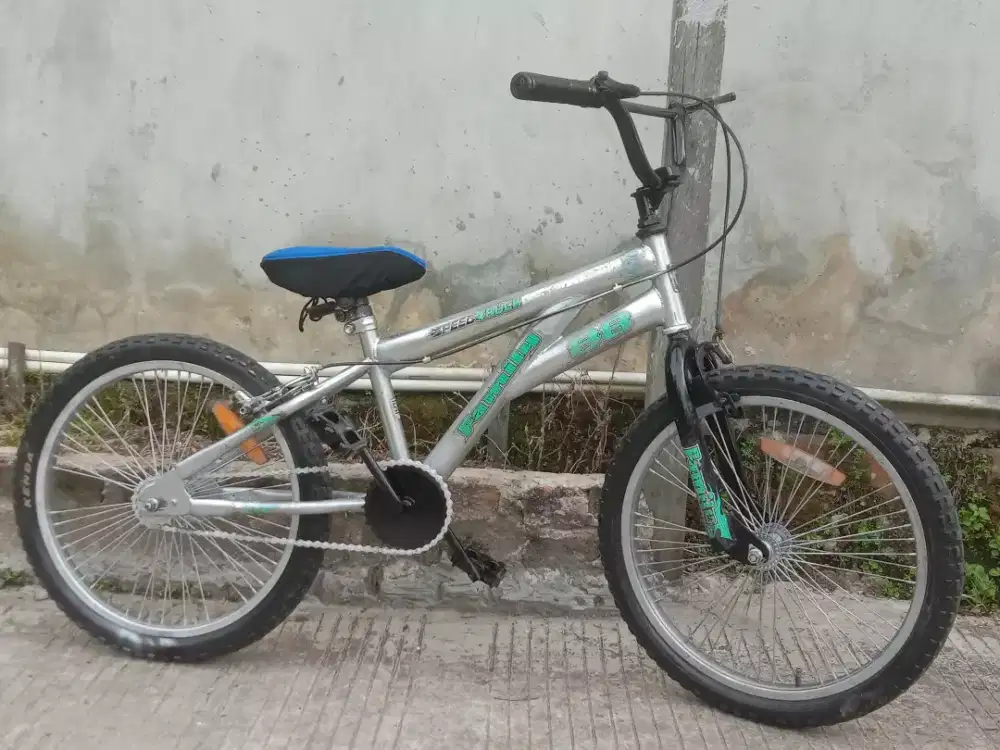 bmx family ukuran 20