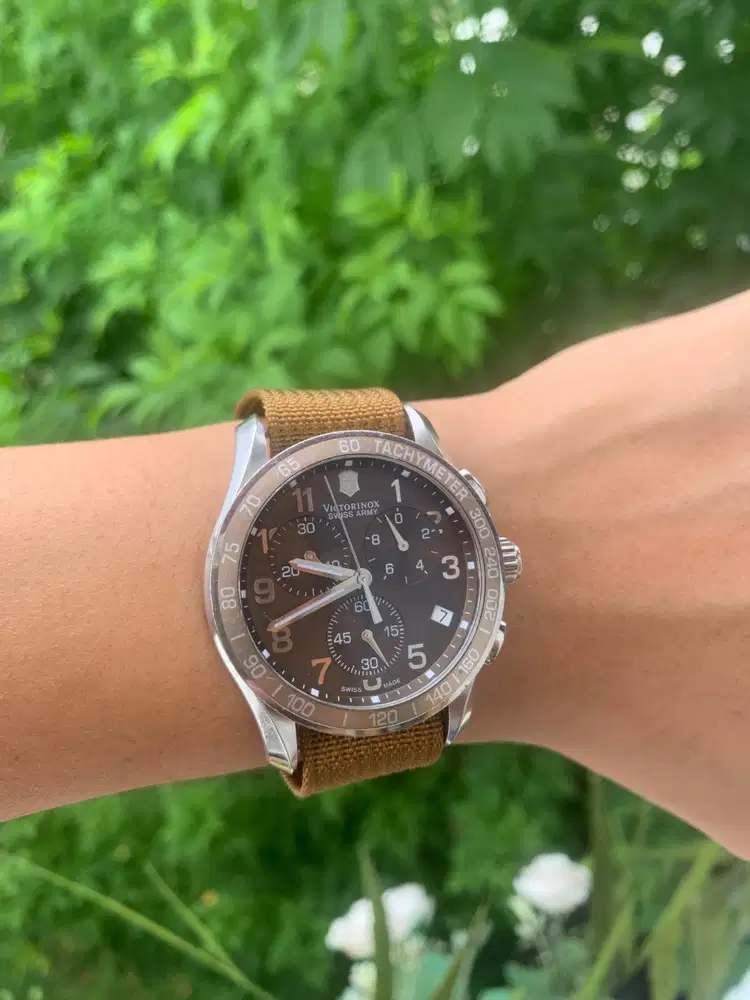 Jam Pria Original VICTORINOX Swiss Army Chrono Classic Dial