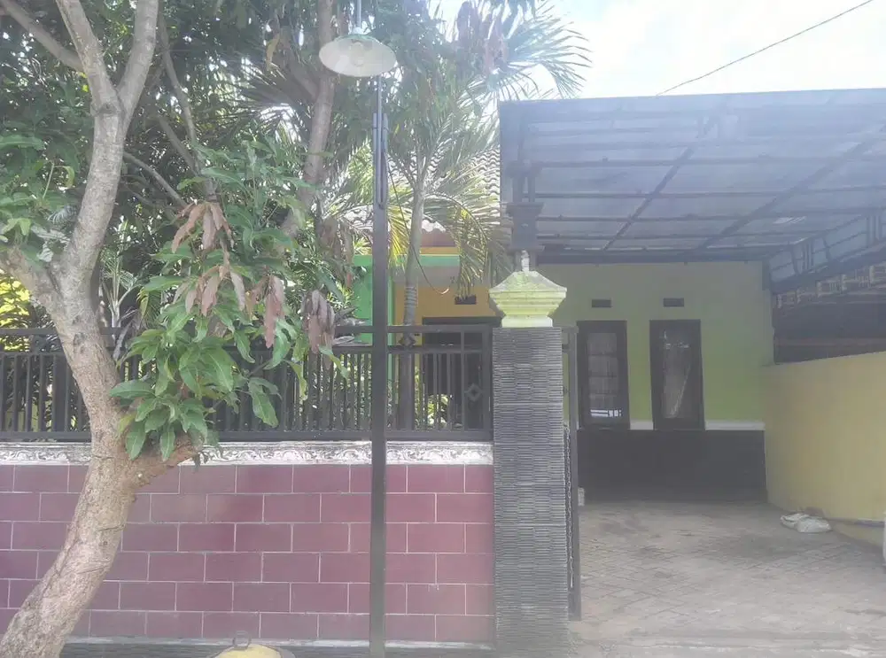 Sewa/Kontrakan Rumah - Singosari Malang