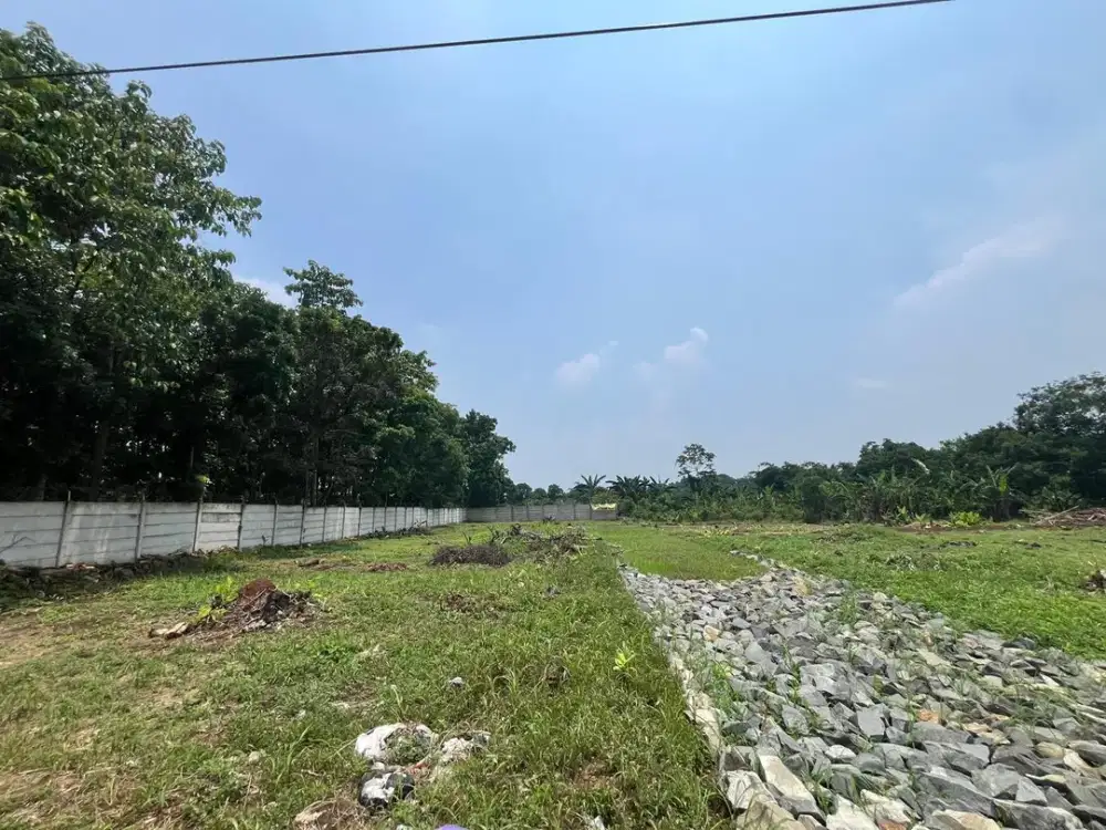 Tanah Cisauk Pinggir Jalan - SHM - Strategis Murah - Dekat Tol