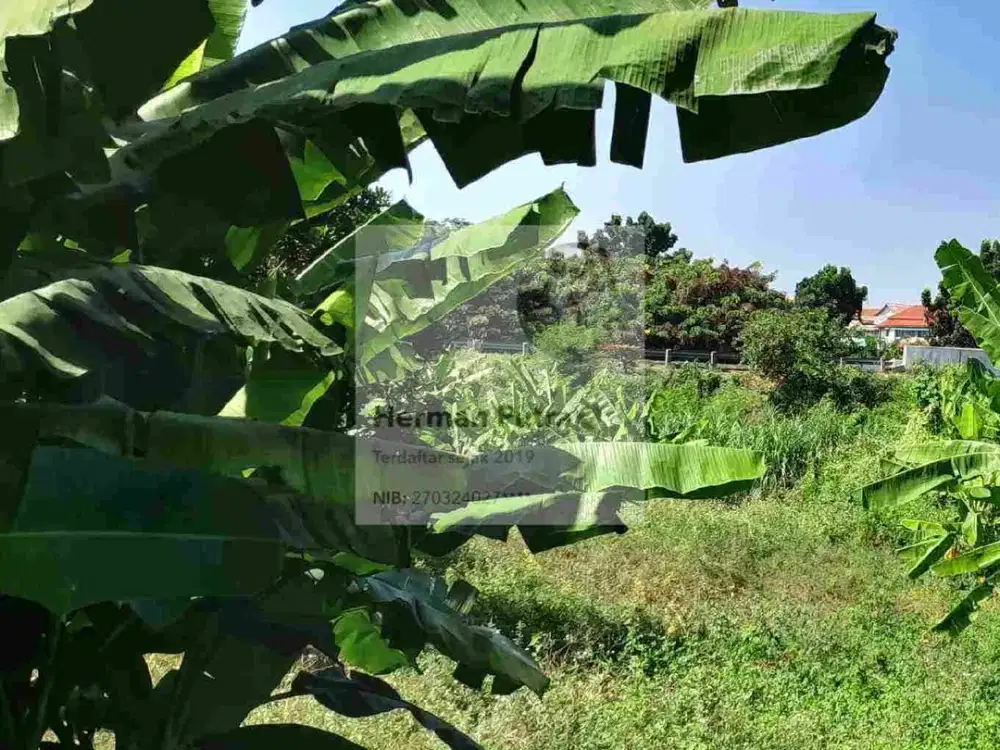 Tanah Tembalang Sumurboto Undip