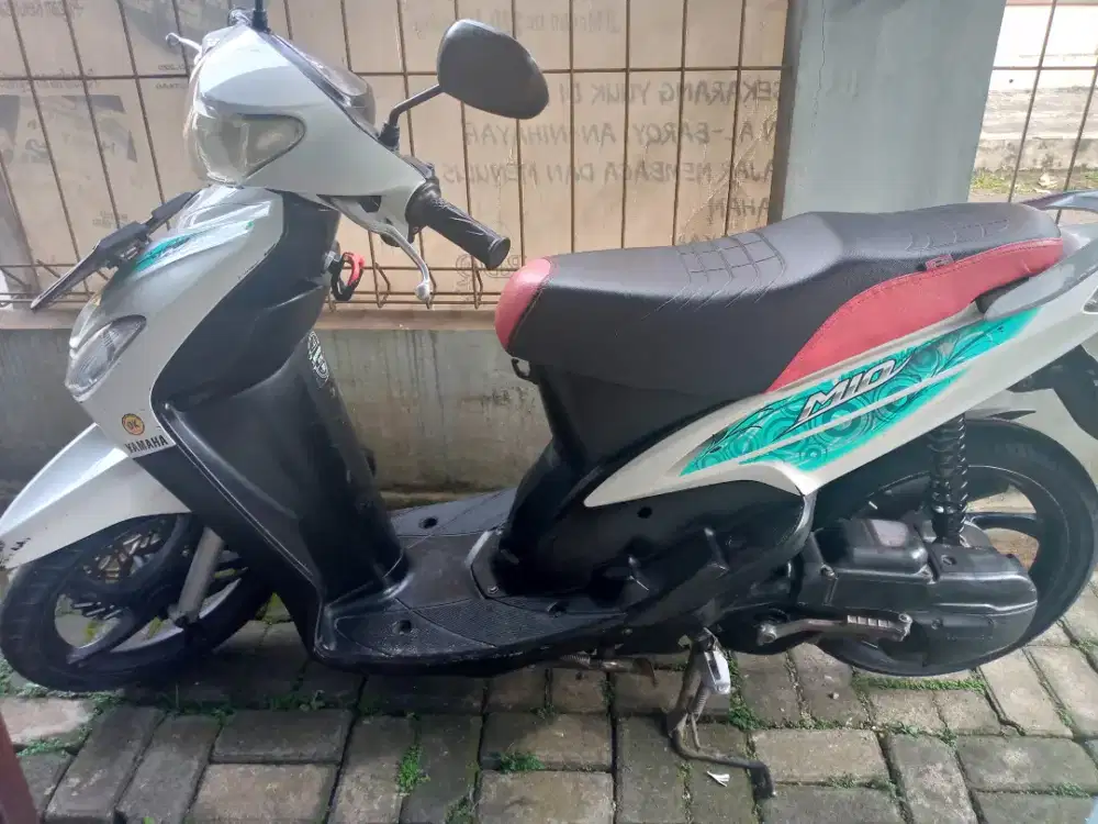 smile.stetr on spedo on.pjk on pnjanggg