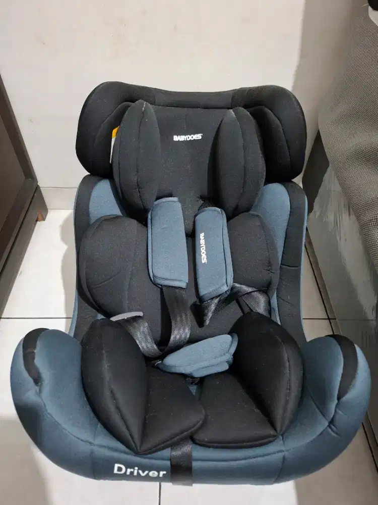 Carseat Babydoes Driver
