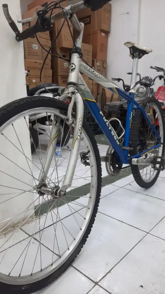 Sepeda mtb polygon unitoga original