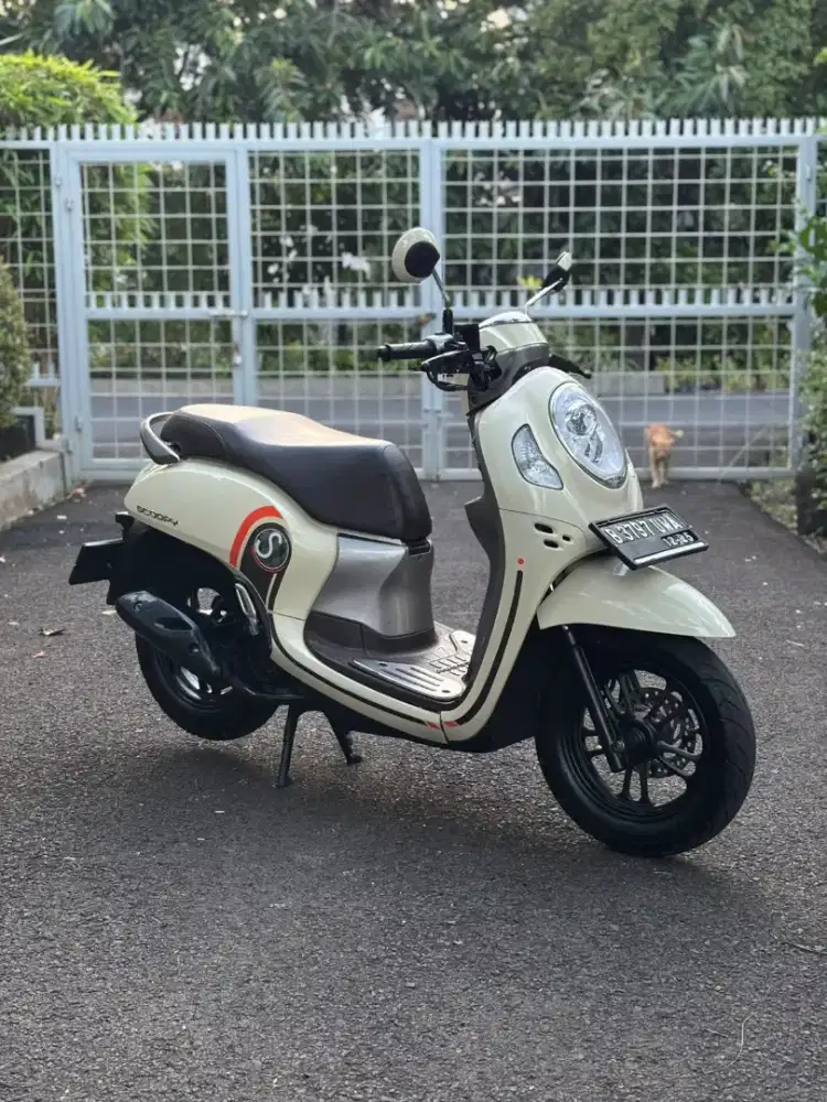 Honda All New Scoopy Fashion 2020