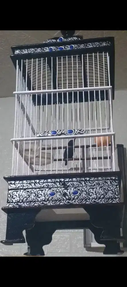 Konin gacor isian full,nego