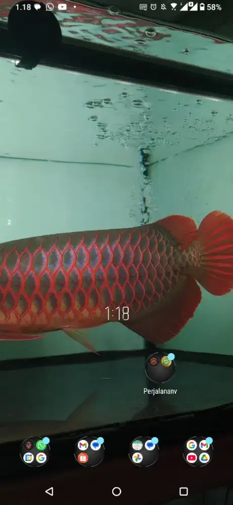 Super red  sepauk antar sampai rumah jabotabek