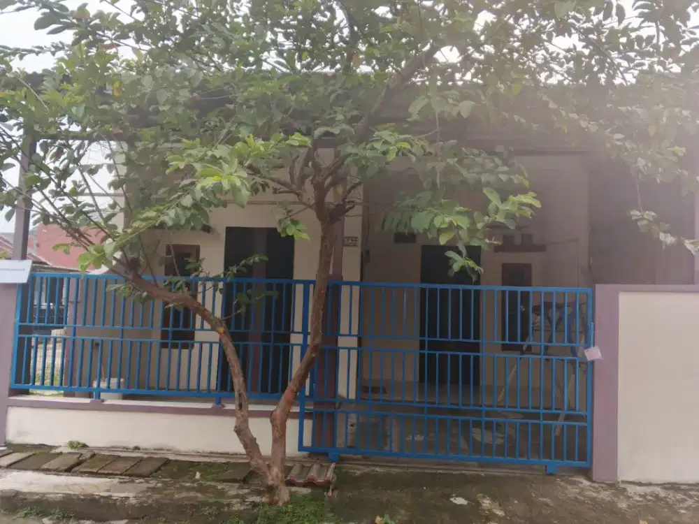 Disewakan rumah per tahun