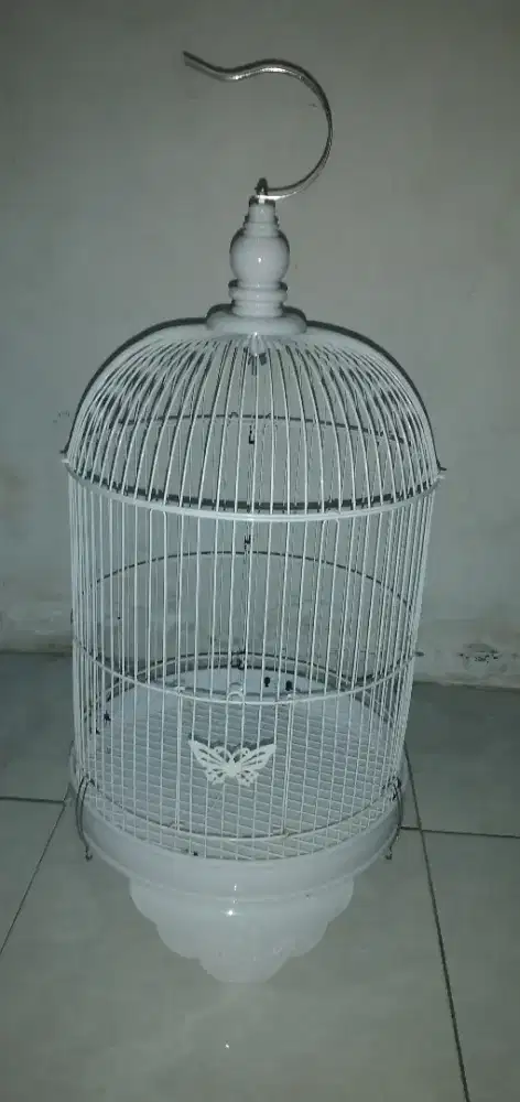 Sangkar lovebird pendek