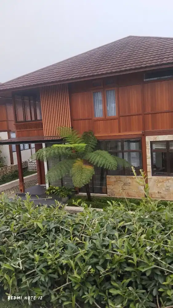 Jasa tukang cat Rumah