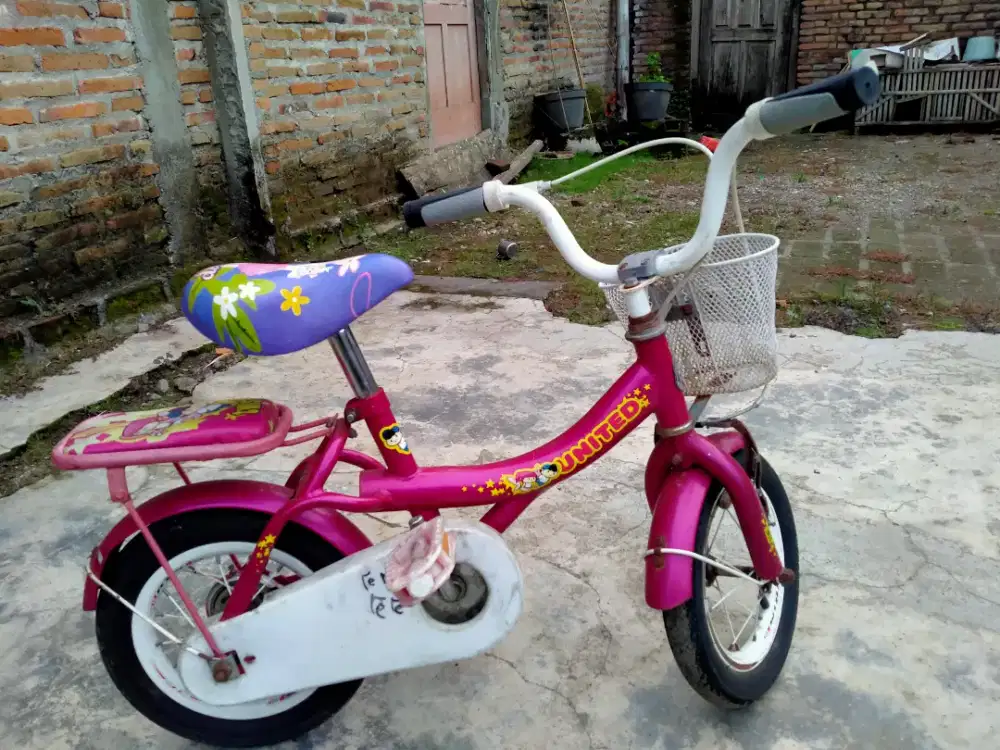 Sepeda mini UNITED ring 12