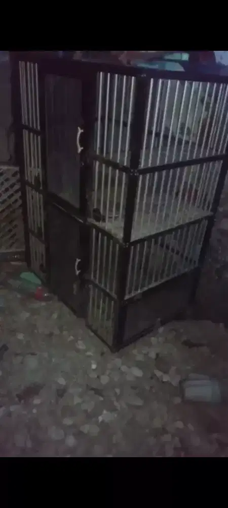 Di jual kandang kucing