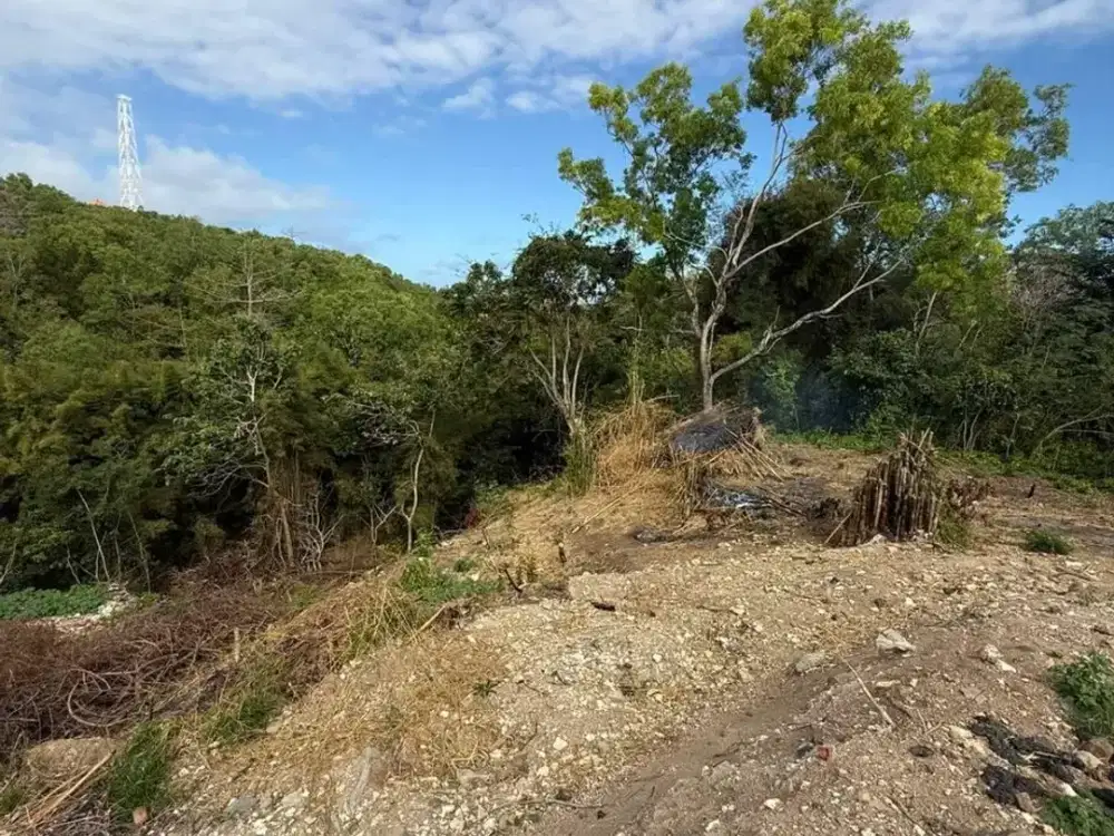 Land for sale in Ungasan, Bali